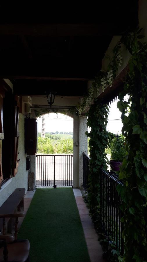 Cudoille Bed and Breakfast Armous-et-Cau Buitenkant foto